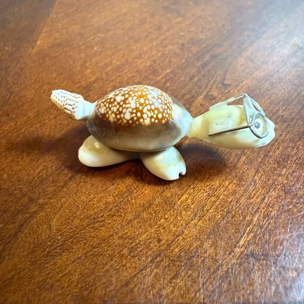 Seashell Turtle Miniature Wearing Glasses‎ Figurine Real Shell